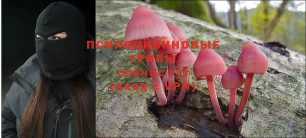 mdma Беломорск